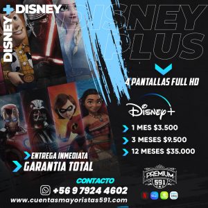 flyer disney